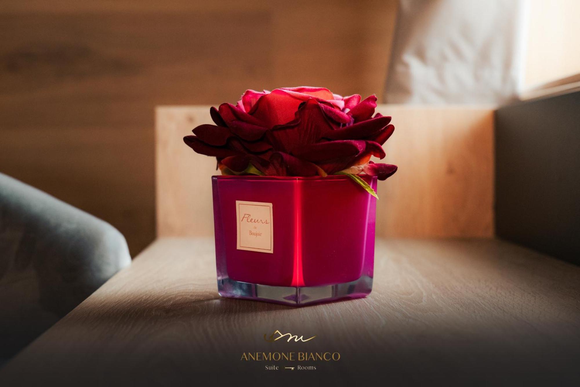 Anemone Bianco Suite Rooms Passo del Tonale Exterior photo