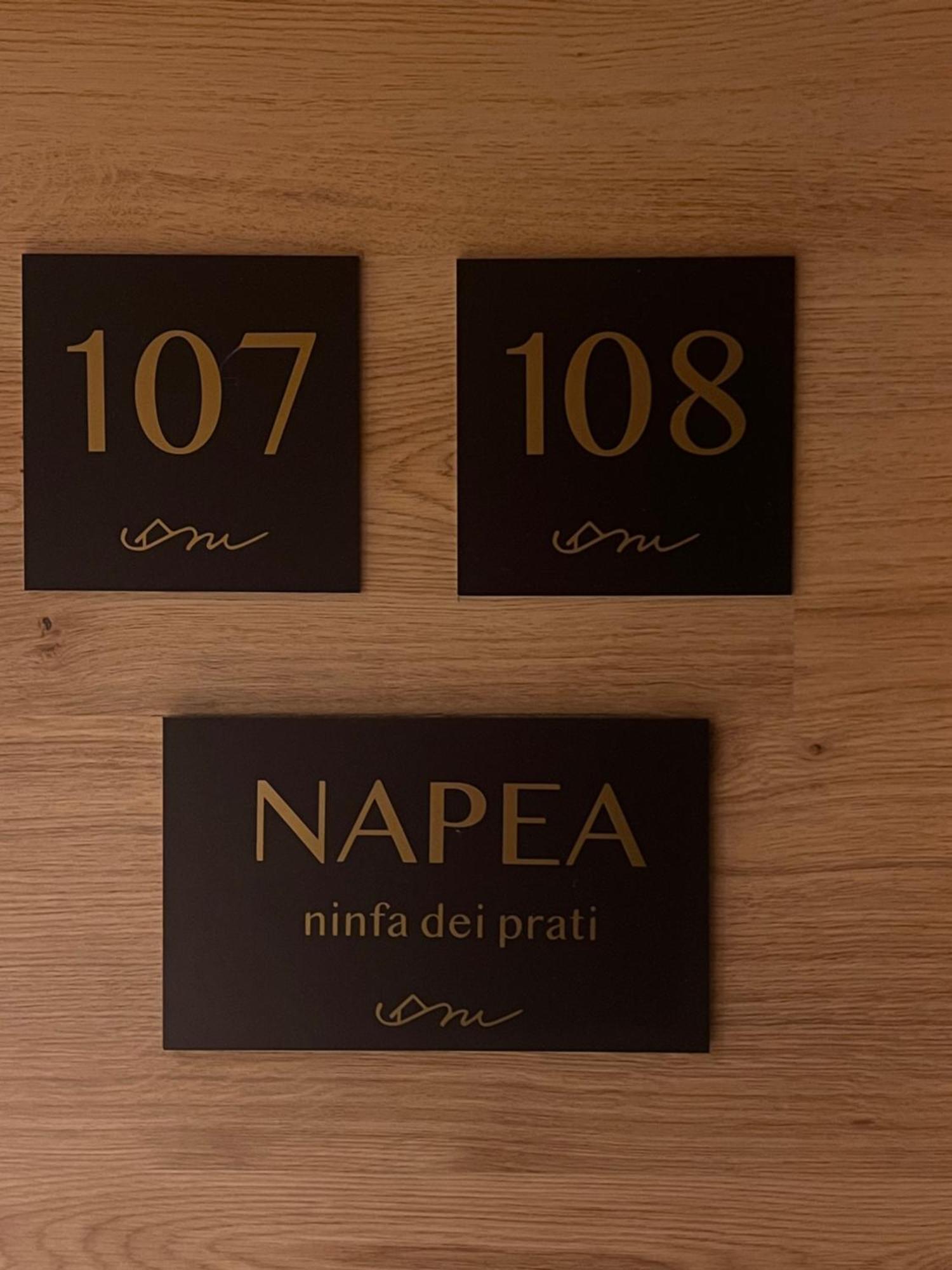 Anemone Bianco Suite Rooms Passo del Tonale Exterior photo